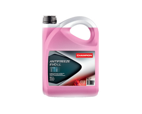 Concentrado refrigerante Champion EVO LL 5L