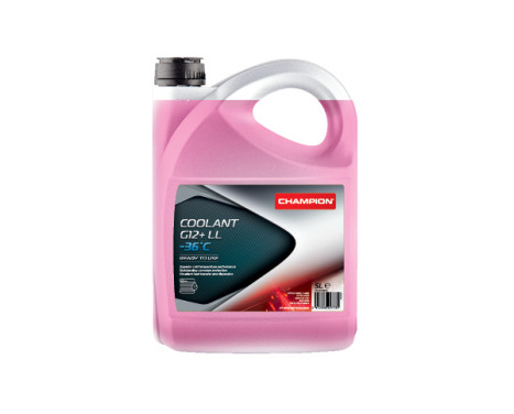 Refrigerante Champion G12+ LL -36 °C 5 L