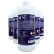 Refrigerante Winparts GO! Longlife G12 -36 °C 5 l