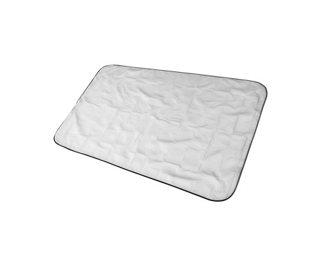 Carpoint Anti-isskyddsfilm Magnetisk 160x95cm