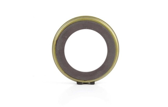 Anneau de capteur, ABS