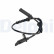 Capteur de vitesse de roue SS21656-12B1 Delphi