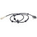 Capteur, vitesse de roue 30560 ABS