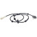 Capteur, vitesse de roue 30560 ABS, Vignette 2