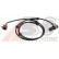Capteur, vitesse de roue 30748 ABS, Vignette 2