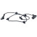 Capteur, vitesse de roue 31019 ABS