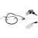 Capteur, vitesse de roue 31593 ABS