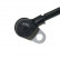 Capteur, vitesse de roue ADC47103C Blue Print, Vignette 3