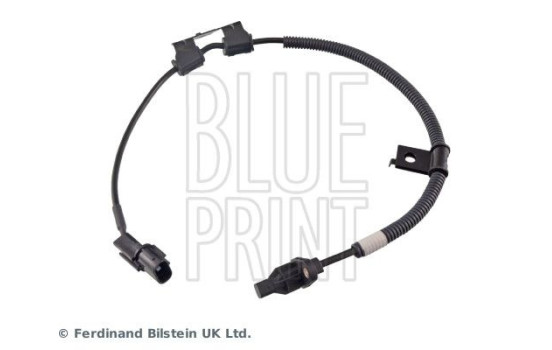 Capteur, vitesse de roue ADG07177 Blue Print, Image 3