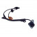 Capteur, vitesse de roue ADH27149 Blue Print