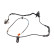 Capteur, vitesse de roue ADH27167 Blue Print