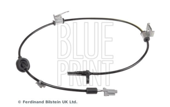 Capteur, vitesse de roue ADS77105 Blue Print, Image 3
