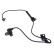 Capteur, vitesse de roue ADT37137 Blue Print