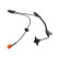 Capteur, vitesse de roue BAS-2033 Kavo parts