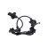 Capteur, vitesse de roue BAS-2040 Kavo parts, Vignette 2