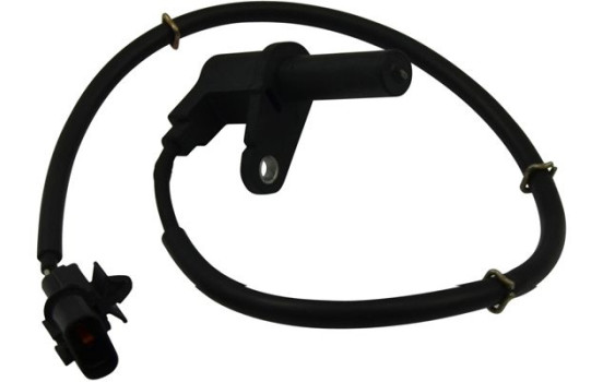 Capteur, vitesse de roue BAS-5502 Kavo parts