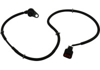 Capteur, vitesse de roue BAS-5505 Kavo parts