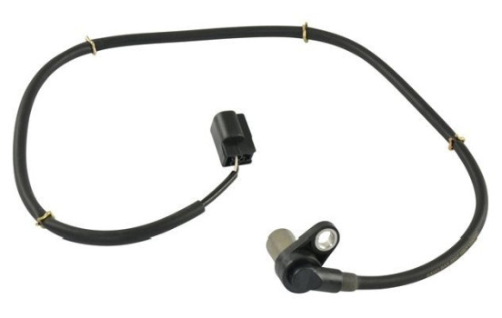 Capteur, vitesse de roue BAS-5547 Kavo parts, Image 2