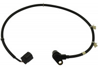 Capteur, vitesse de roue BAS-5581 Kavo parts