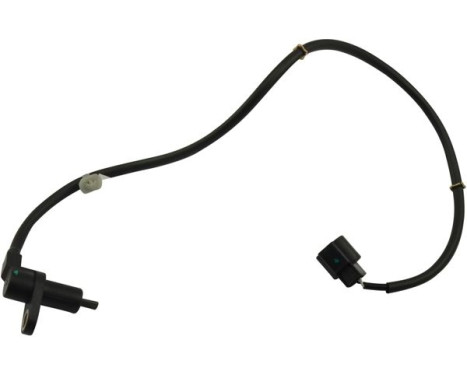 Capteur, vitesse de roue BAS-5588 Kavo parts