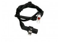 Capteur, vitesse de roue SS20018 Delphi