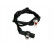 Capteur, vitesse de roue SS20018 Delphi