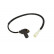 Capteur, vitesse de roue SS20021 Delphi