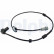 Capteur, vitesse de roue SS20026 Delphi, Vignette 2