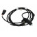 Capteur, vitesse de roue SS20136 Delphi