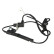 Capteur, vitesse de roue SS20255 Delphi
