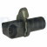 Capteur, vitesse de roue SS20295 Delphi, Vignette 2