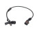 Capteur, vitesse de roue SS20387 Delphi