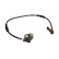 Capteur, vitesse de roue SS20493 Delphi