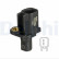 Capteur, vitesse de roue SS20586 Delphi, Vignette 2