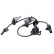 Capteur, vitesse de roue 31099 ABS