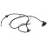 Capteur, vitesse de roue 31246 ABS