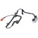 Capteur, vitesse de roue 31407 ABS
