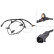 Capteur, vitesse de roue 31816 ABS