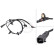 Capteur, vitesse de roue 31817 ABS