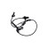 Capteur, vitesse de roue BAS-2058 Kavo parts