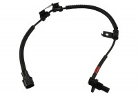Capteur, vitesse de roue BAS-4071 Kavo parts
