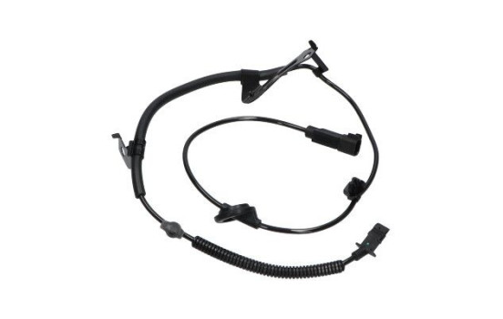 Capteur, vitesse de roue BAS-5573 Kavo parts, Image 4