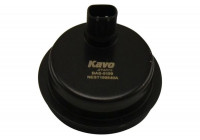 Capteur, vitesse de roue BAS-9199 Kavo parts