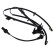 Capteur, vitesse de roue SS20111 Delphi
