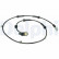 Capteur, vitesse de roue SS20259 Delphi, Vignette 2