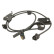 Capteur, vitesse de roue SS20466 Delphi
