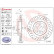 Disque de frein 09.B710.11 Brembo