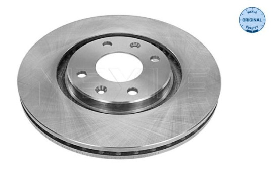 Disque de frein 11-15 521 0013 Meyle