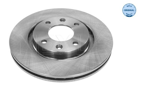 Disque de frein 11-15 521 0017 Meyle