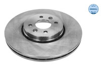 Disque de frein 16-15 521 0038 Meyle